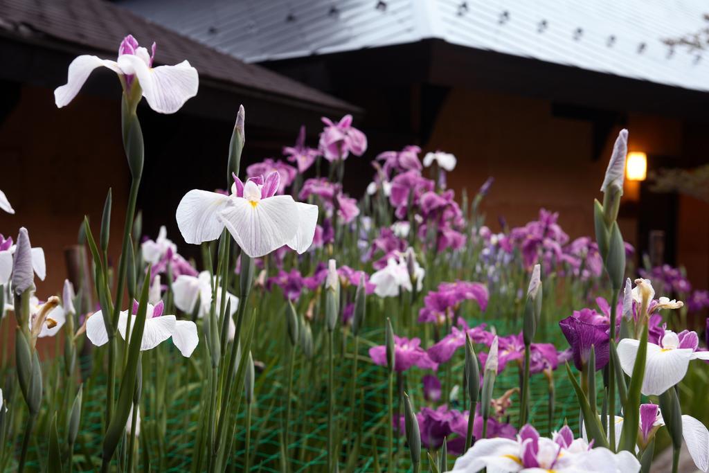 Satonoyu Waraku 13 Years Or Older Hotel Minamioguni Buitenkant foto